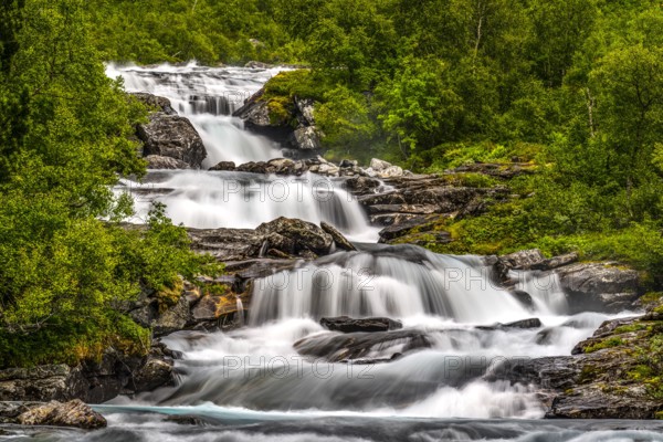 Impressive waterfall flows over rocks in the midst of thick, green forest