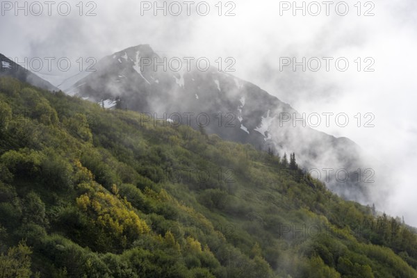 Fog sweeps around mountain peaks, Slaughter Ridge Trail, Cooper Landing, Kenai Peninsula, Alaska, USA