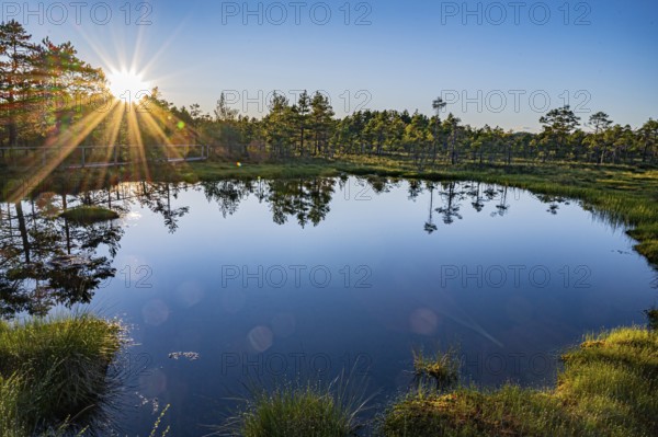 Hällefors, Örebro, Sweden, sunset over a lake with a clear reflection of the trees and a glowing sky in moor landscape with a wooden walkway