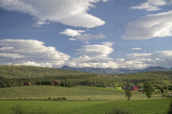 Folldal, Innlandet, Norway, Rural landscape with green fields, buildings and mountains on the horizon
