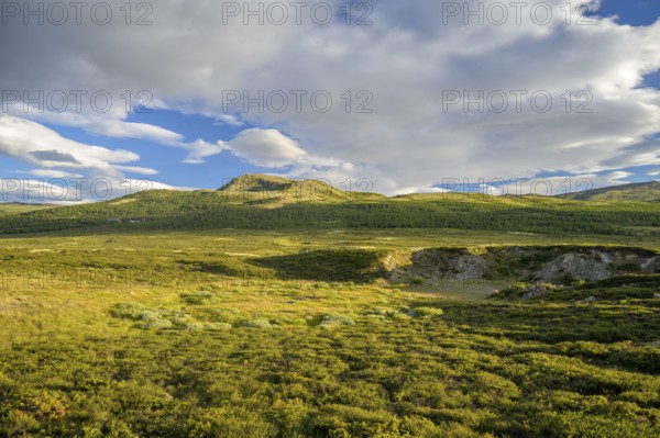 Dalholen, Innlandet, Norway, Open hilly landscape with vast sky and clouds