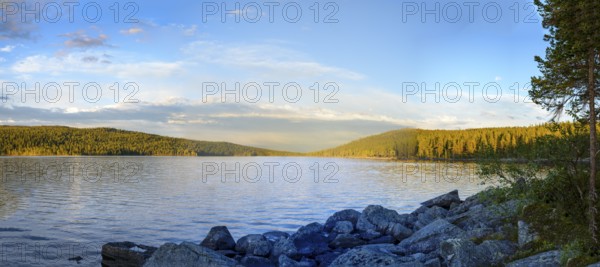 Panoramic view of Gutulsjön lake with surrounding forests under blue skies, Gutulia National Park, Drevsjö, Innlandet, Norway
