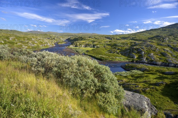 Vøringsfoss, Vestland, Norway, Green landscape with a river and hills under a blue sky in Hardangervidda