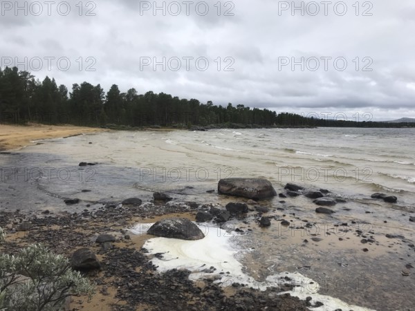 Drevsjø, Innlandet, Norway, A grey beach day with wavy water of Lake Femund, rocks and a thick forest in the background