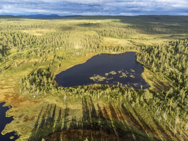 Idre, Dalarnas län, Sweden, aerial view of a moor lake with long shadows and surrounding forest area