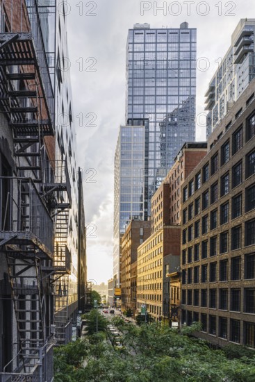 3Eleven, High Line, New York, USA