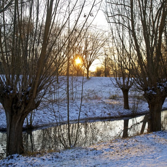 Sunrise over Lower Rhine landscape on the Aubruch Canal in winter, Moers, Wesel district, Lower Rhine, North Rhine-Westphalia, Germany