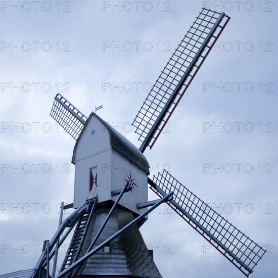 Kokermühle, detailed view in winter in the Walbeck district of Geldern, Lower Rhine, North Rhine-Westphalia, Germany