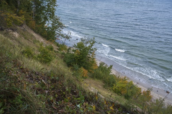 Cliff coast on Nordperd, nature reserve, Baltic resort Göhren, Baltic Sea, Rügen island, Mecklenburg-Western Pomerania, Germany
