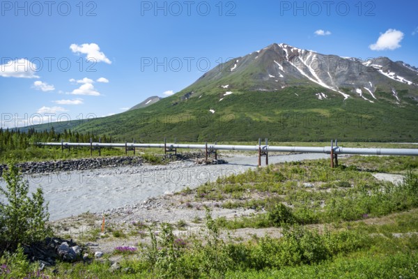 Alaska Pipeline Oil Pipeline, Alaska Range, Richardson Highway, Alaska, USA
