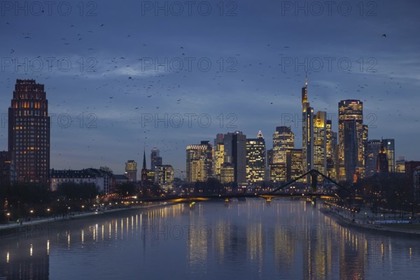A flock of birds flies in the evening towards the glowing Frankfurt banking skyline, Osthafen, Frankfurt am Main, Hesse, Germany