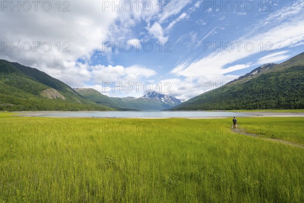 Young man in a green meadow by a lake, Eklutna Lake, Chugach Mountains, Chugach State Park, Alaska, USA
