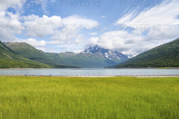 Green meadow on a lake and mountains, Eklutna Lake, Chugach Mountains, Chugach State Park, Alaska, USA