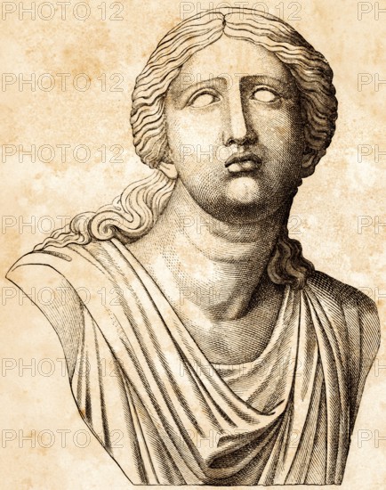 Bust of Niobe, Greek mythology, wife of the Theban king Amphion, transformed into marble according to legend, historical illustration 1869