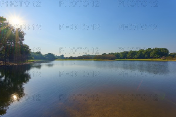 A calm lake with a clear reflection, surrounded by trees under blue skies and sunshine, Fazenda Barranco Alto, Rio Negro, Pantanal, Mato Grosso, Brazil