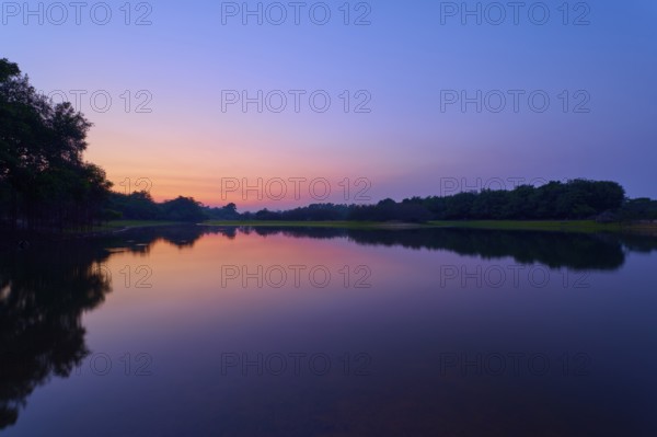 The lake reflects the purple and pink morning sky, framed by dark tree lines, Fazenda Barranco Alto, Rio Negro, Pantanal, Mato Grosso, Brazil