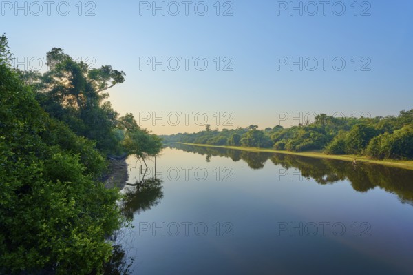 Bright blue and green over a quiet river lined with trees early in the morning, Fazenda Barranco Alto, Rio Negro, Pantanal, Mato Grosso, Brazil