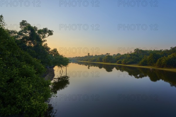 Morning sun illuminates the river in shades of blue with a touch of yellow, surrounded by trees, Fazenda Barranco Alto, Rio Negro, Pantanal, Mato Grosso, Brazil