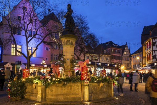 Colourfully illuminated and Christmassy decorated half-timbered houses, old town, blue hour, Colmar, Haut-Rhin department, Alsace, France