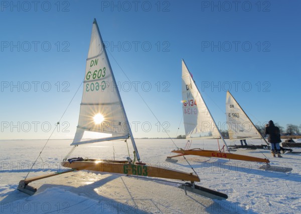 Ice sailboats on frozen Dümmer Lake in sunshine under clear sky, Lembruch, Dümmer nature park Park, Lower Saxony, Germany