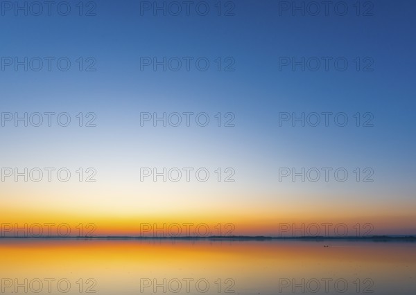 A calm sunrise with a soft color gradient is reflected in the still water of Lake Ddümmer, Dümmer nature park Park, Lower Saxony, Germany