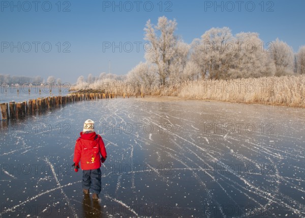 Child in red clothes walks across a frozen area of Dümmer Lake in a wintry landscape, Dümmer nature park Park, Lembruch, Lower Saxony, Germany
