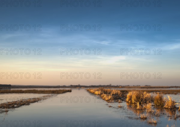Extensive landscape with blue skies and delicate clouds is reflected in the water, soft yellow light on the horizon. Flooded meadows in Ochsenmoor, Dümmer nature park Park, Lower Saxony, Germany