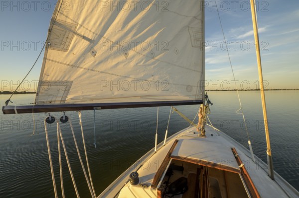 Sailing boat dinghy cruiser in evening light on the Dümmer See water, quiet nature and freedom, Dümmer nature park Park, Lower Saxony, Germany