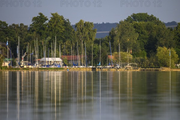 Dümmer See with sailboats and trees on the shore, harbor view with reflections of boats and masts, calm water and trees in morning light, Dümmer nature park Park, Lower Saxony, Germany