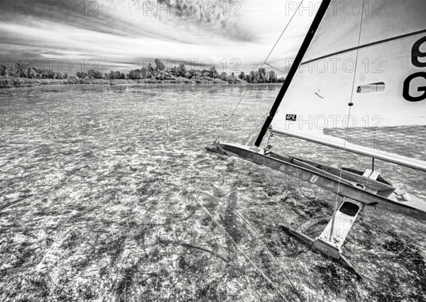 Ice sailors on water in black and white with strong contrast and structure, Dümmer nature park Park, Lower Saxony, Germany