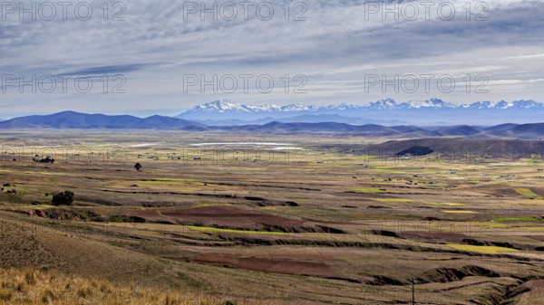 Wide plain with mountains and clouds on the horizon, The Altiplano landscape in the Andes of Bolivia