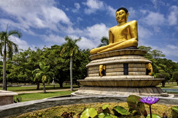 Close-up view of a golden Buddha statue with lotus flower surrounded by palm trees and blue sky, The Golden Buddha in Colombo City Park Sri Lanka