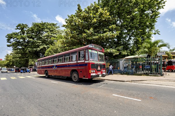 A red bus stands on a street surrounded by trees and people in sunshine, bus in the streets of Colombo Sri Lanka