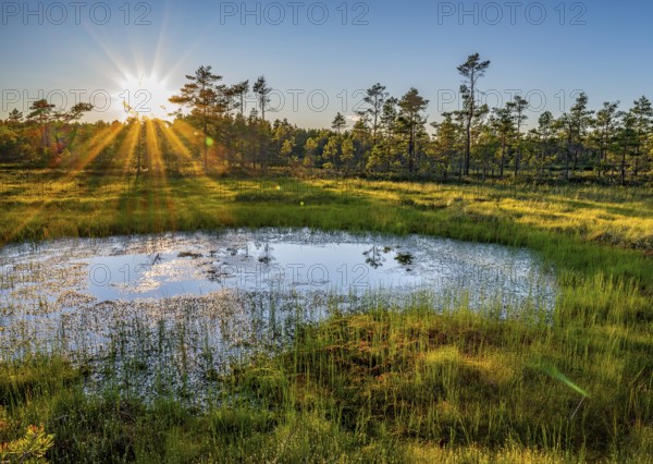 Picturesque swamp during sunrise with rays of light and a small pond, Härjedalen, Jämtland, Sweden