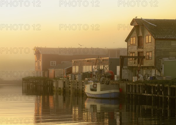 A picturesque harbor at sunrise with fog, calm water and wooden buildings that radiate a peaceful atmosphere, Vardø, Finnmark, Norway