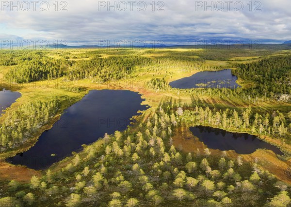 Green forest landscape with blue lakes under a cloudy sky in a calm atmosphere, Härjedalen, Jämtlands län, Sweden