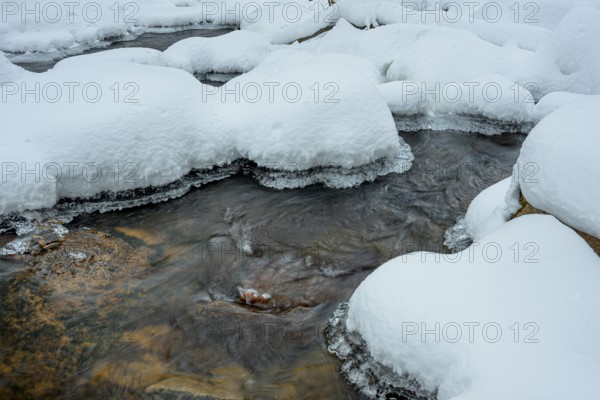 Ilsenburg, Saxony-Anhalt, Germany, Small river Ilse in the Harz National Park on Heinrich-Heine trail Ilsetal flows under snow and ice in winter surroundings