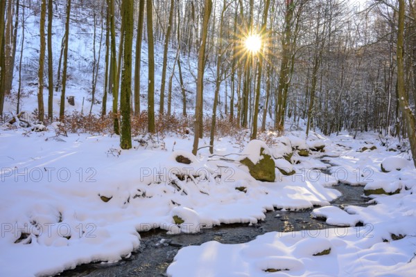 Ilsenburg, Saxony-Anhalt, Germany, A sunny winter day with snow-covered trees on the banks of the Ilse river in the Harz National Park on the Heinrich-Heine trail Ilsetal