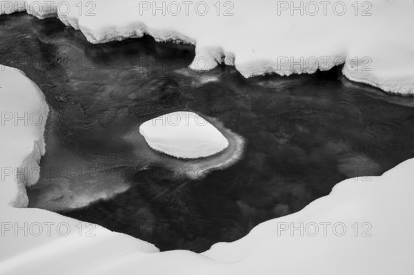 Ilsenburg, Saxony-Anhalt, Germany, snowy and icy Ilse river in the Harz National Park on Heinrich-Heine Weg Ilsetal hiking trail in a wintery black and white photo