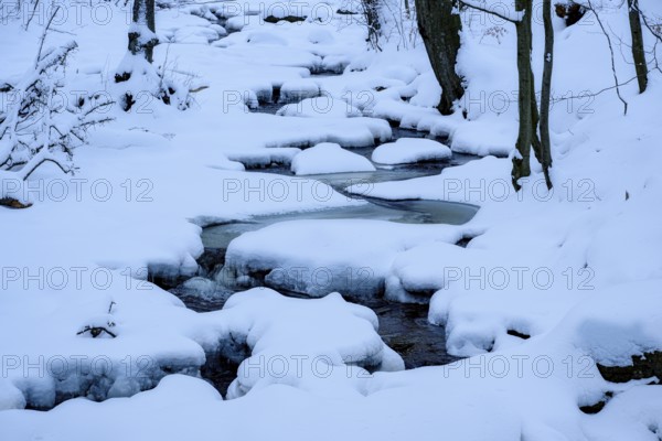 Ilsenburg, Saxony-Anhalt, Germany, Small river Ilse meanders in the Harz National Park on the Heinrich-Heine trail Ilsetal hiking trail covered by snow and ice in a wintry scene