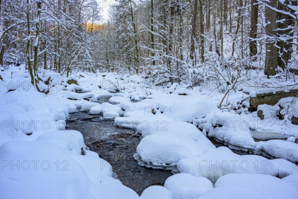 Ilsenburg, Saxony-Anhalt, Germany, Snowy Ilse River in the Harz National Park on Heinrich-Heine Weg Ilsetal hiking trail in the winter forest with trees in the background