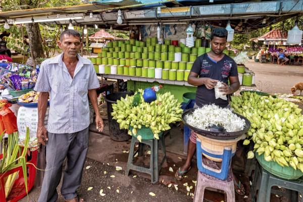 Men stand at a market stall selling tropical flowers and green pots. Atmospheric, rural and colorful, people in Colombo Sri Lanka's market