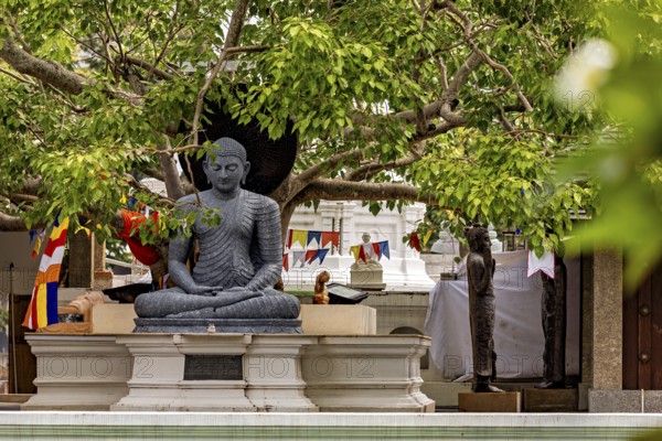 Stone Buddha under trees with decorative prayer flags in the temple area, The Seema Malaka Temple with the Buddha statues in Colombo Sri Lanka