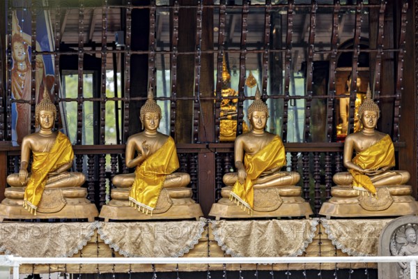 Row of Buddha statues in a temple, separated by bars, all with yellow robes, The Seema Malaka Temple with the Buddha statues in Colombo Sri Lanka