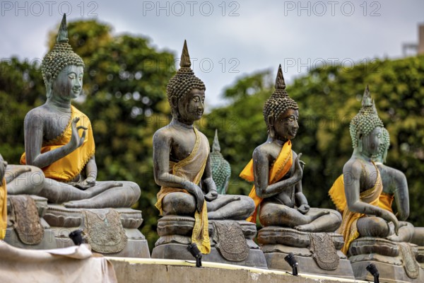 Several Buddha statues with yellow robes against a green backdrop, The Seema Malaka Temple with the Buddha statues in Colombo Sri Lanka