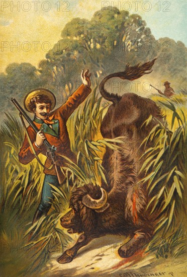 Hunting scene in Romania, picture of a fairy tale, fantasy, hunter with rifle, reeds, riverbank, forest, large animal, bull or buffalo, colorful historical illustration 1888