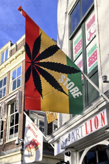 Flag with marijuana leaf at a cannabis shop in the pedestrian zone of The Hague, South Holland province, the Netherlands