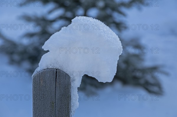 Snow on fence post, winter, Sieversen, Samtgemeinde Rosengarten, Lower Saxony, Germany