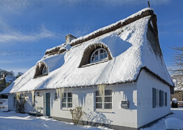 Snowy thatched house, icicles, ice, snow, winter, Sieversen, Samtgemeinde Rosengarten, Lower Saxony, Germany