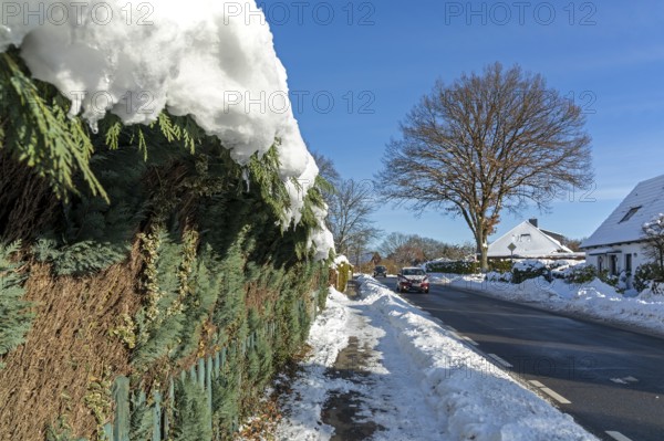 Snowy hedge, road, houses, winter, snow, Sieversen, Samtgemeinde Rosengarten, Lower Saxony, Germany